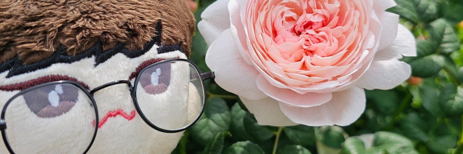 식곰's banner