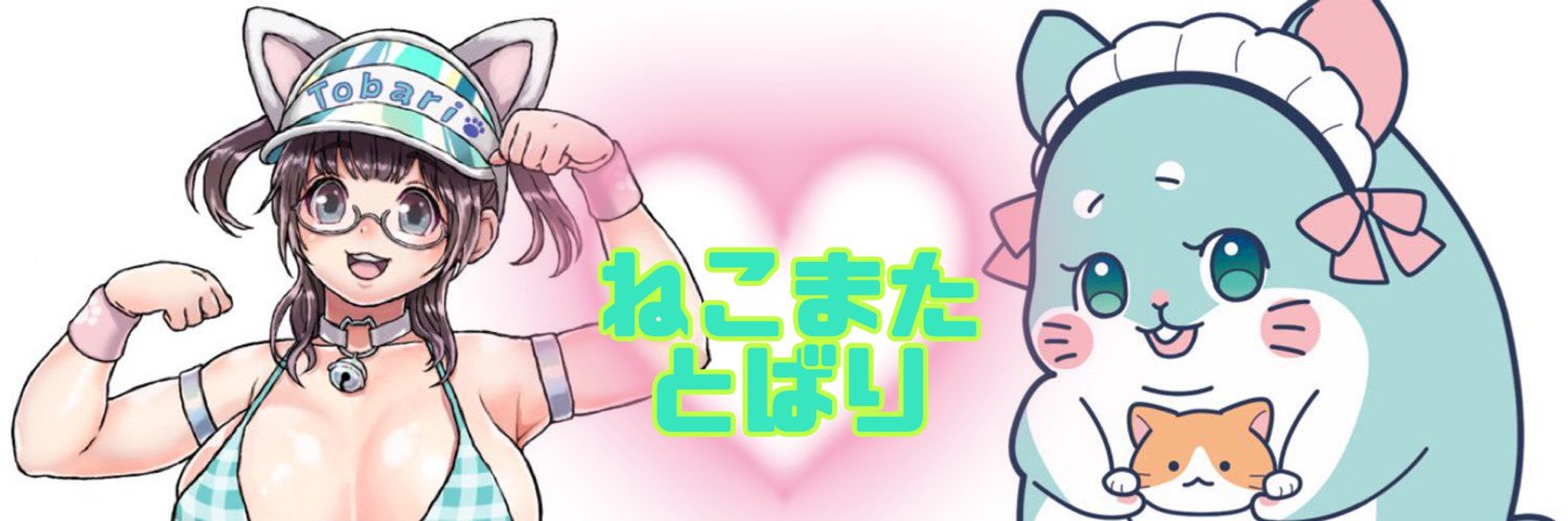とばり🍼🐹休養中's banner