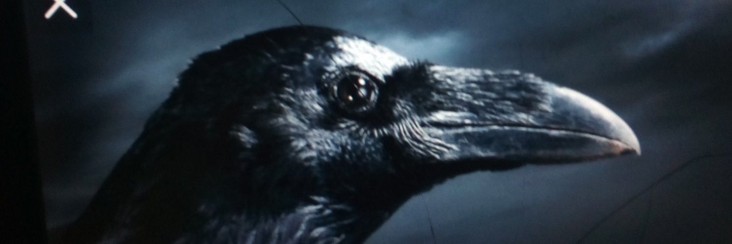 Raven's banner