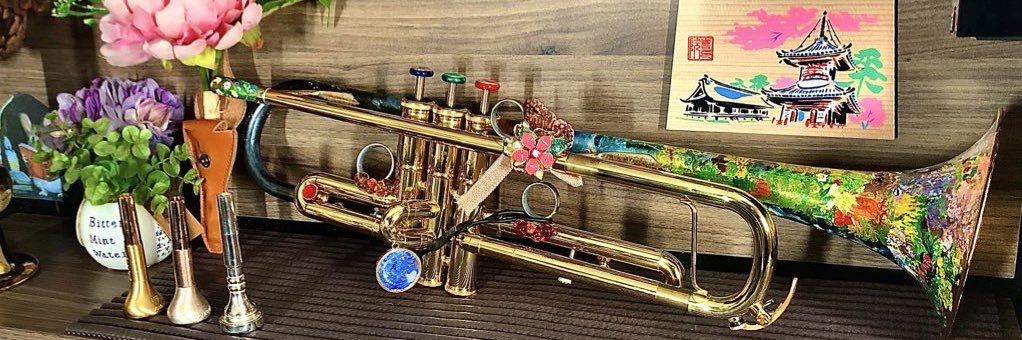 楽器の妖精ミュージカ🎺🧚's banner