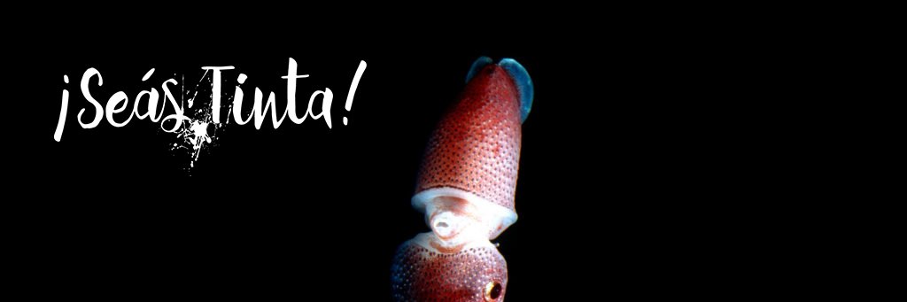¡Seás Tinta!'s banner
