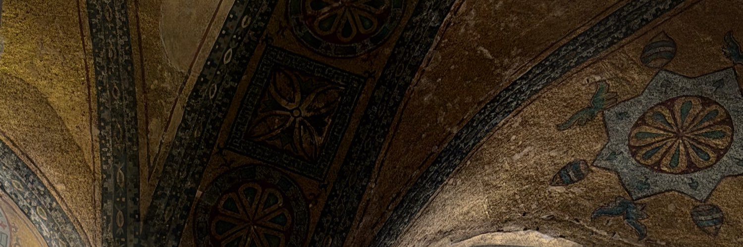 nur 𐙚🦢's banner