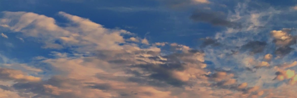+ • جنوبي's banner