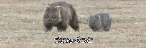マナミー's banner