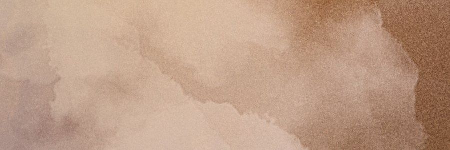 V's banner