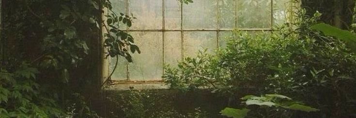 li🌿's banner
