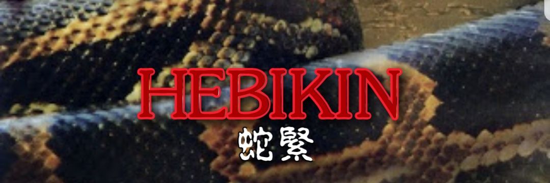 蛇緊🐍's banner