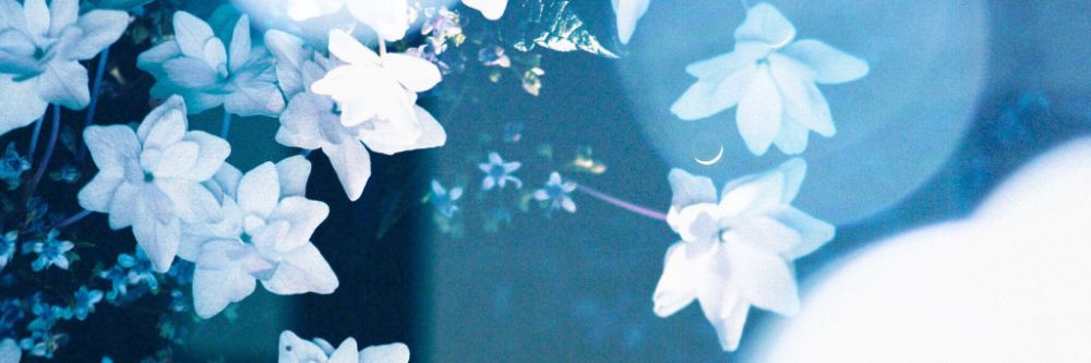 Zi⁷ | MILITARY WIFE ERA's banner