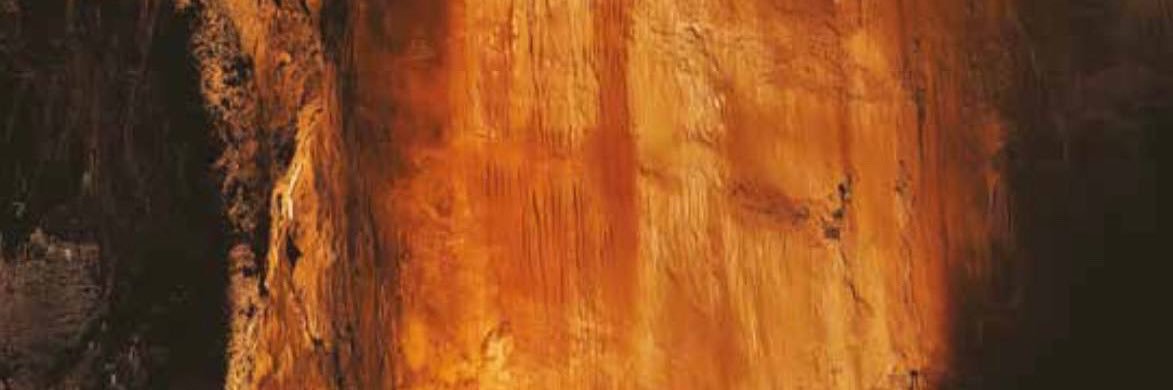 Enrico Ruggeri's banner