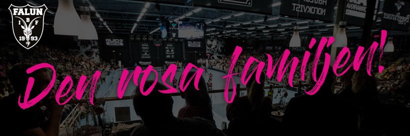 IBF Falun's banner