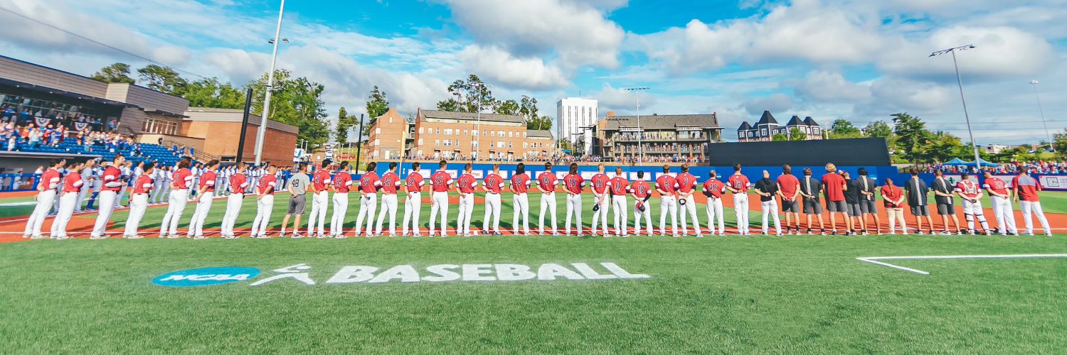 RiderBaseball's banner