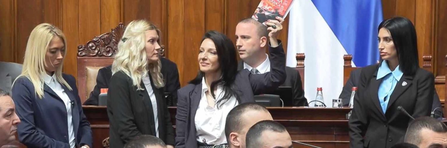 Marinika Tepić's banner