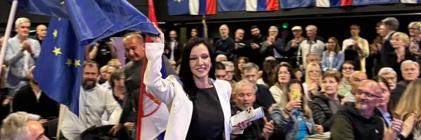 Marinika Tepić's banner