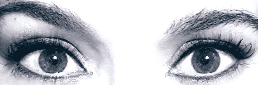 Alicia Negrón's banner