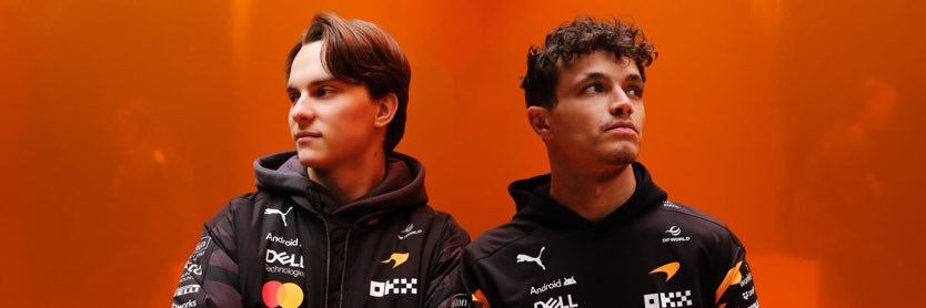 mel 🐝🐦‍🔥 LANDOSTAND's banner