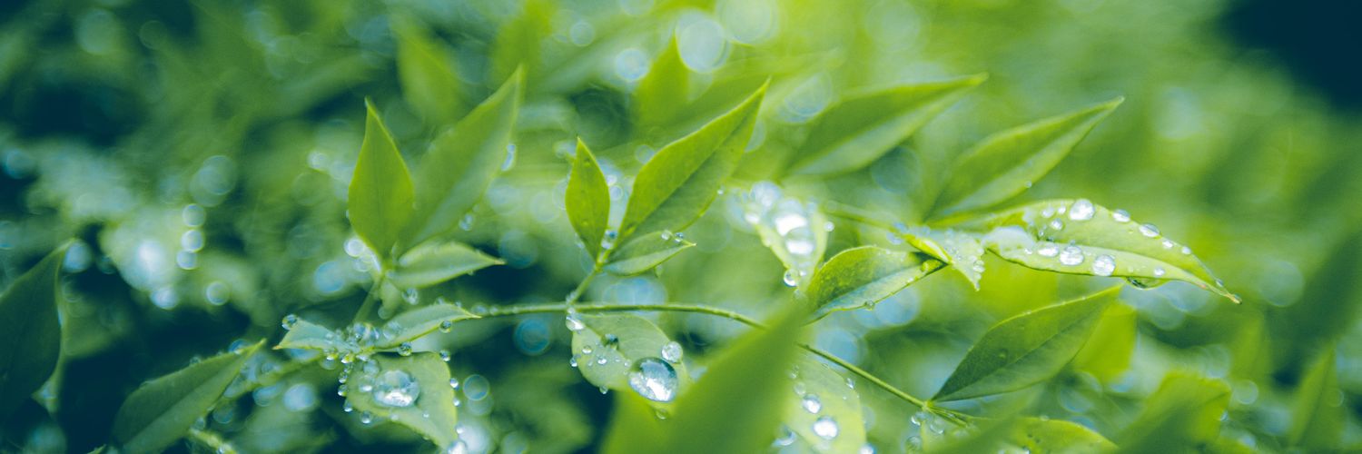 Cine & Daily Facts's banner