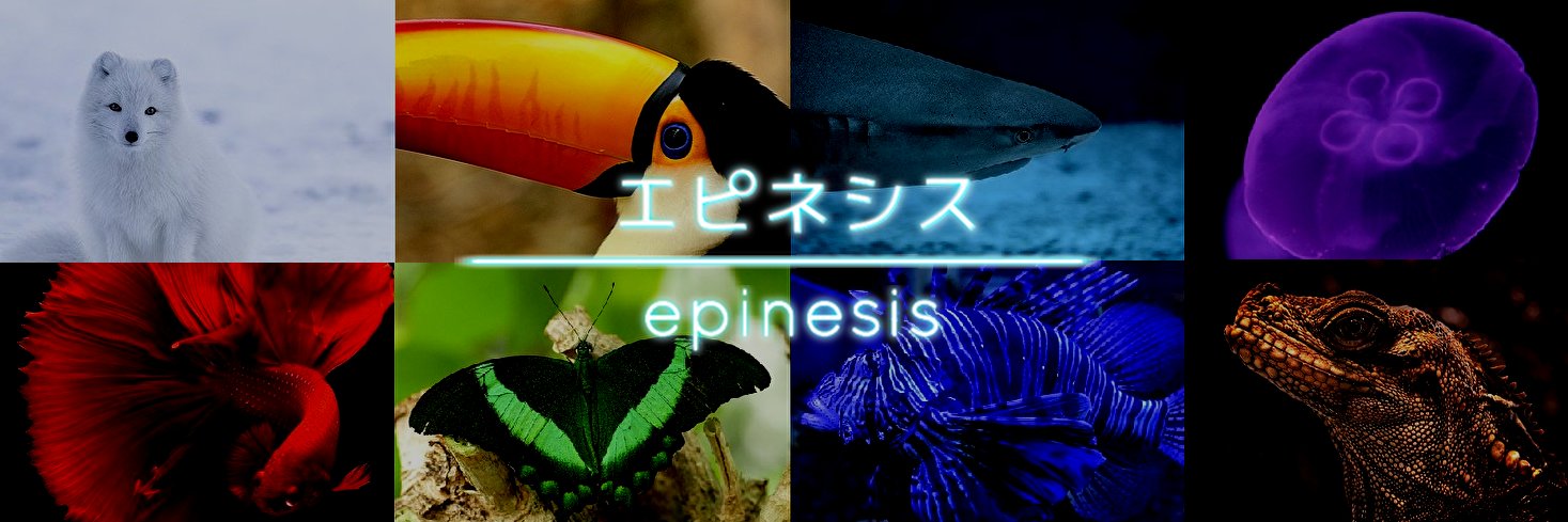 エピネシス's banner
