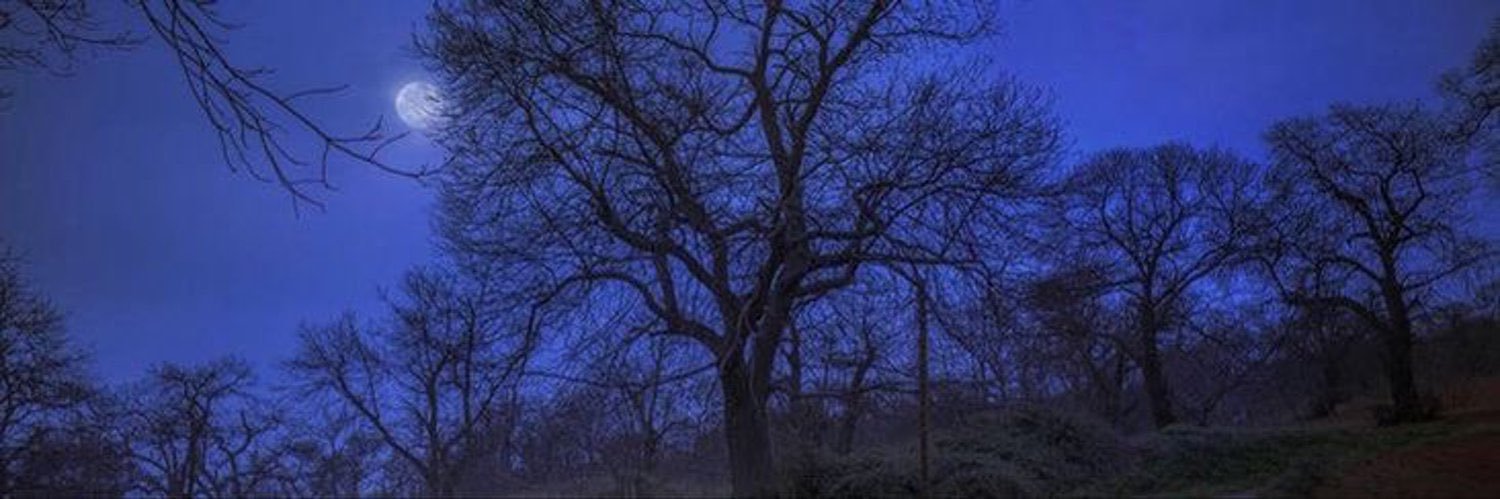 R's banner