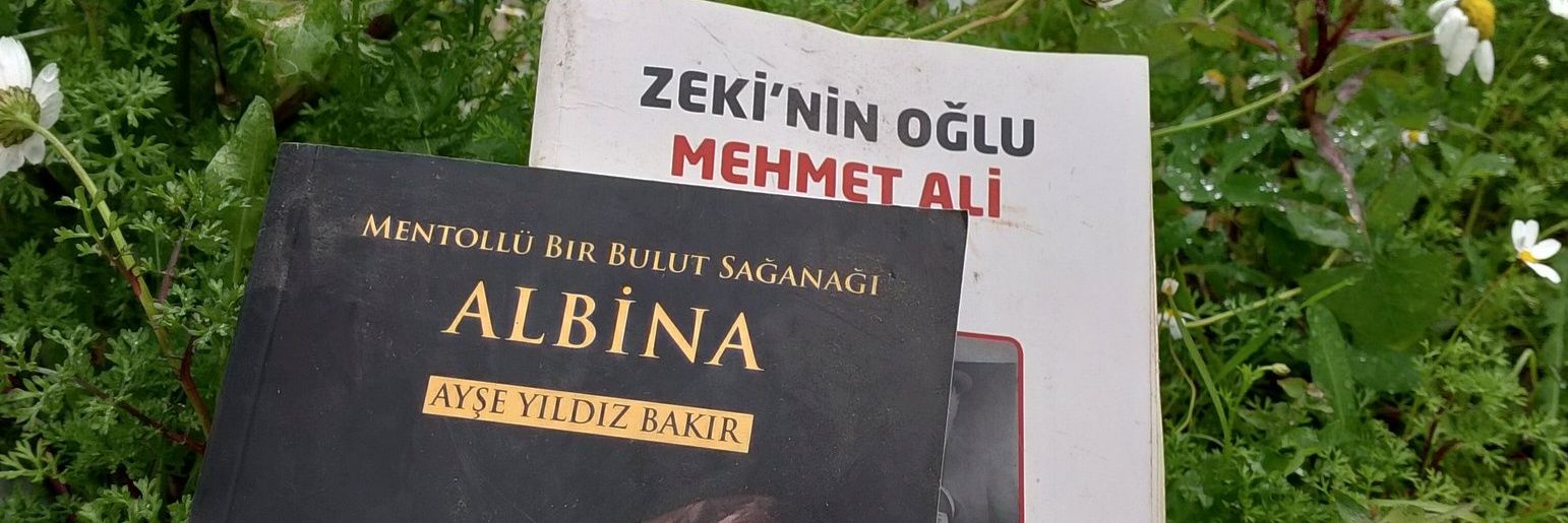 yıldız Ayşe's banner
