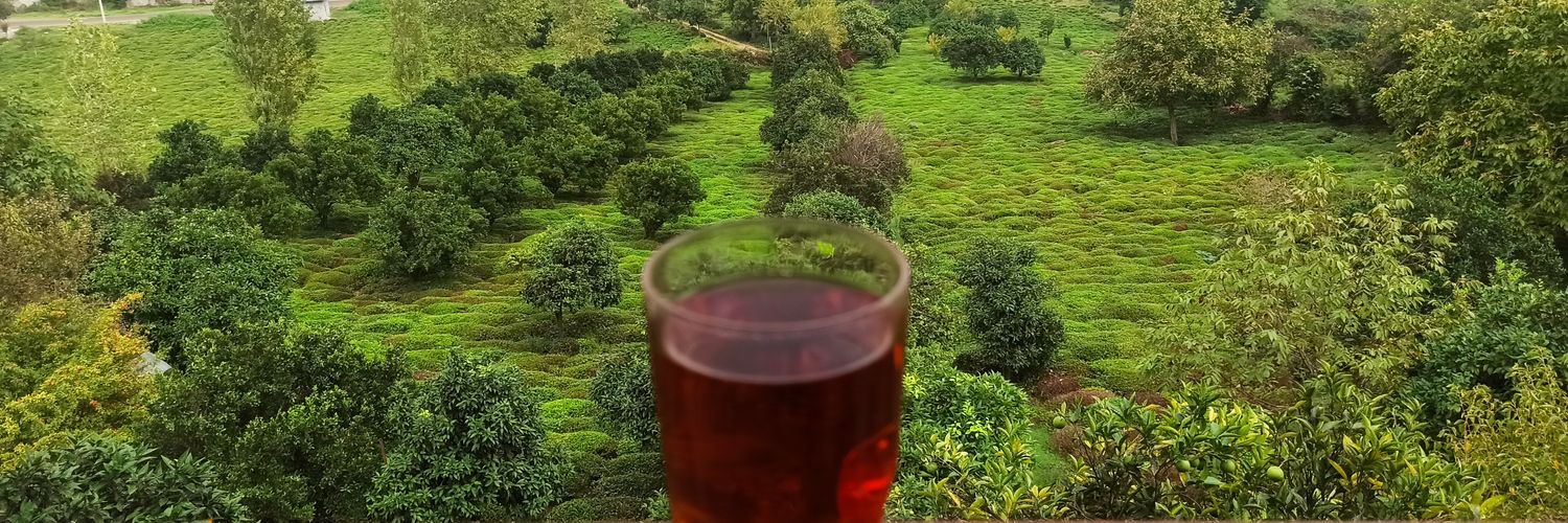 مازیار بالائی's banner