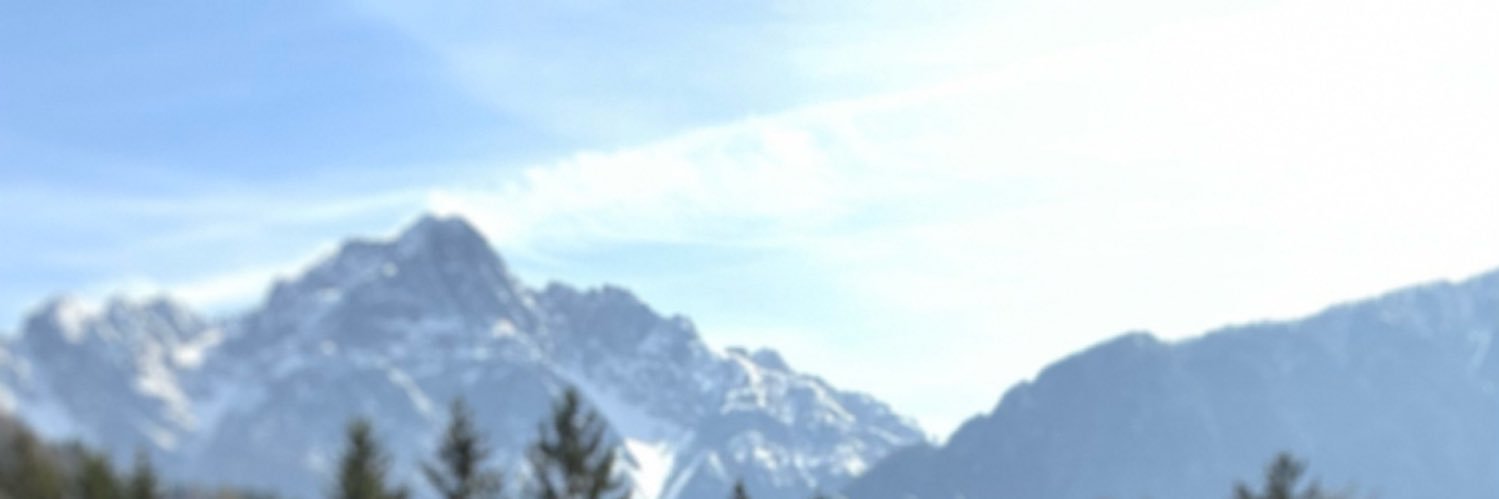 Sophie Valtiner's banner