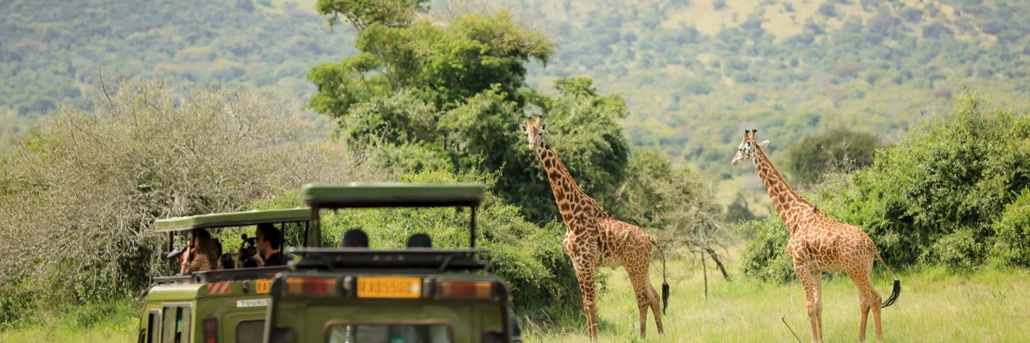 Visit Rwanda's banner