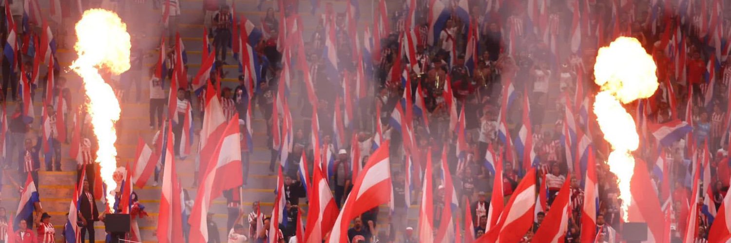 patricia's banner