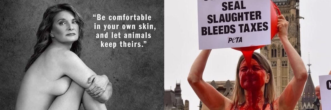KELLI VEGAN for animals 🌱🦋💕💜's banner