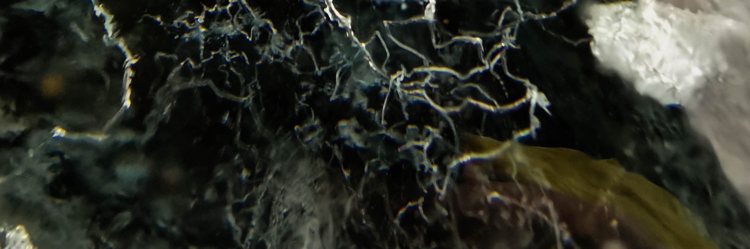 CIark's banner