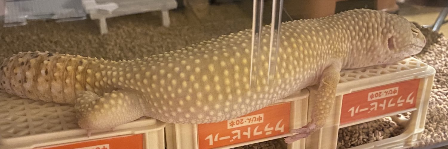 りよ's banner