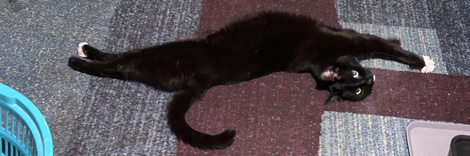 (⁎⁍̴̆Ɛ⁍̴̆⁎)'s banner