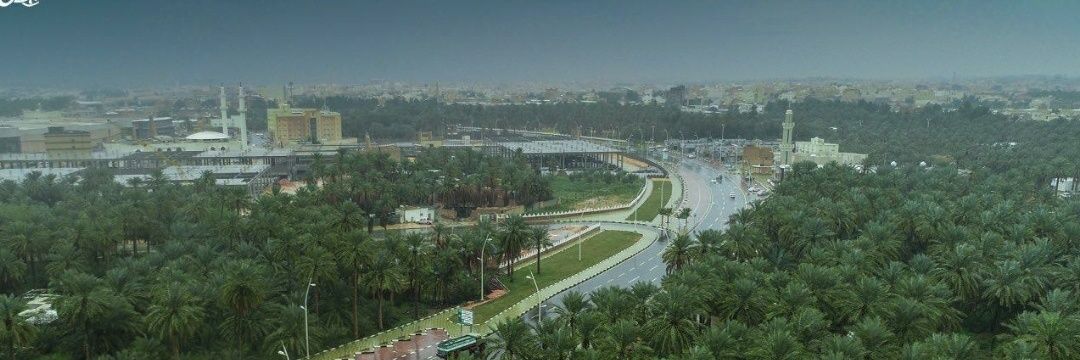 صالح المرزوقي's banner