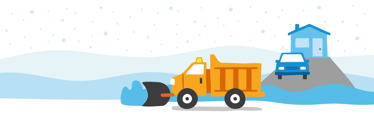 Mississauga Snow's banner