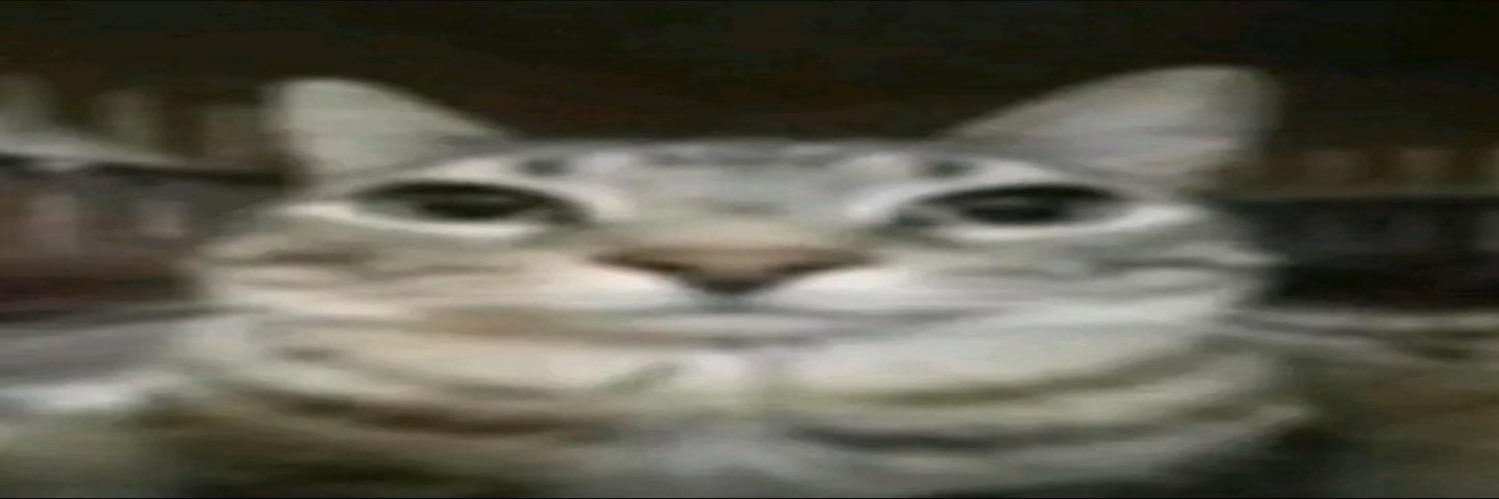 David García (modo: 🇵🇸)'s banner