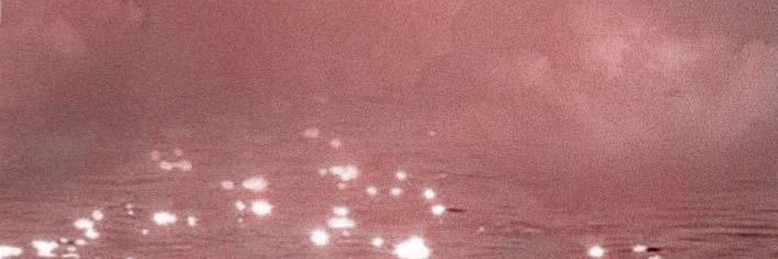 princess Nat ♡'s banner