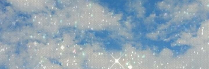 sebastian's banner