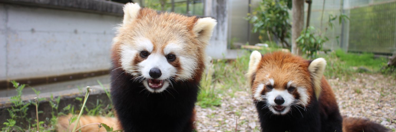 静岡市立日本平動物園's banner