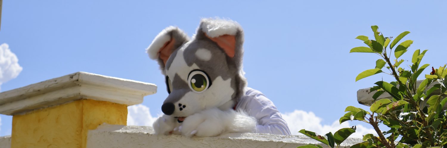 ザック🐶's banner