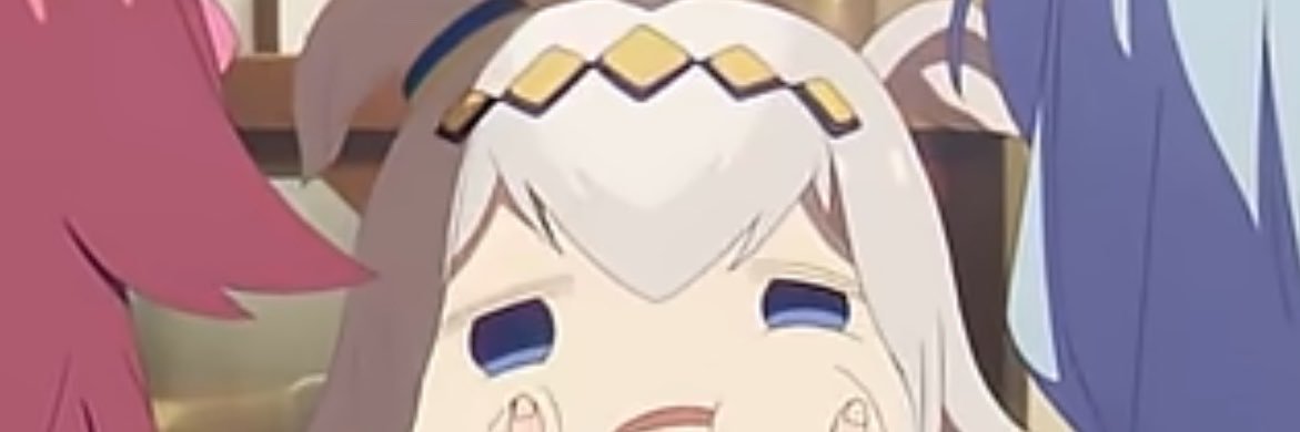 猫成狐りん's banner
