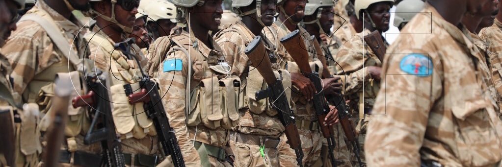 Puntland Security Force's banner