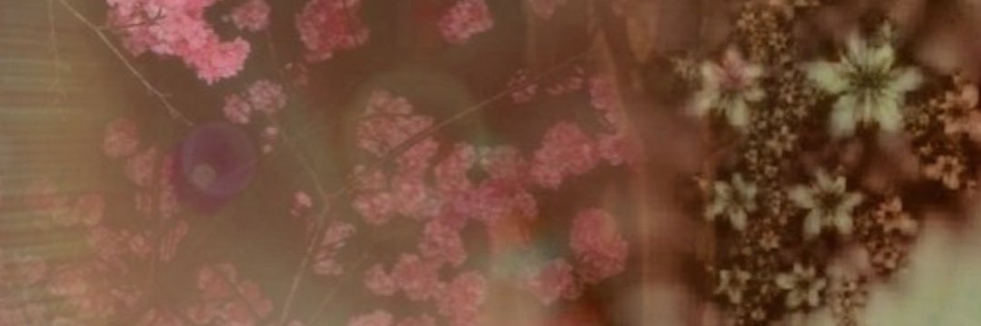 lesa⋆˚࿔ 🐞's banner