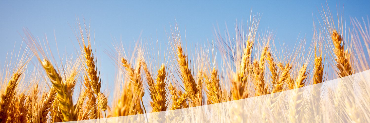 Eksun Gıda's banner