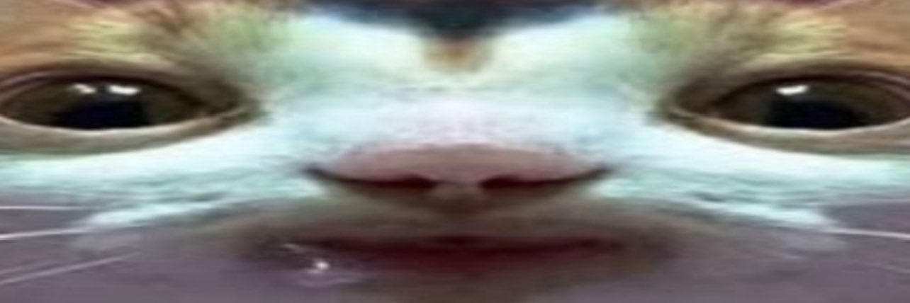 Official Chicken Little Movie Account 4's banner