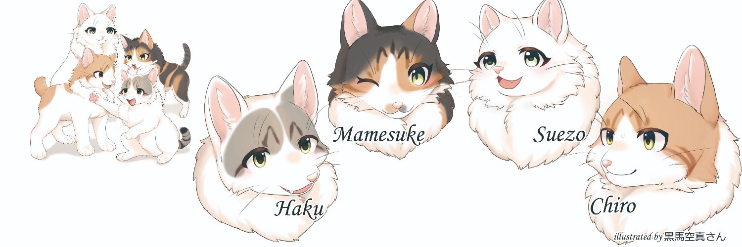 超猫🐈's banner