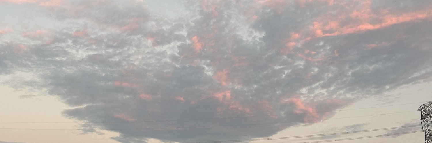念汐's banner