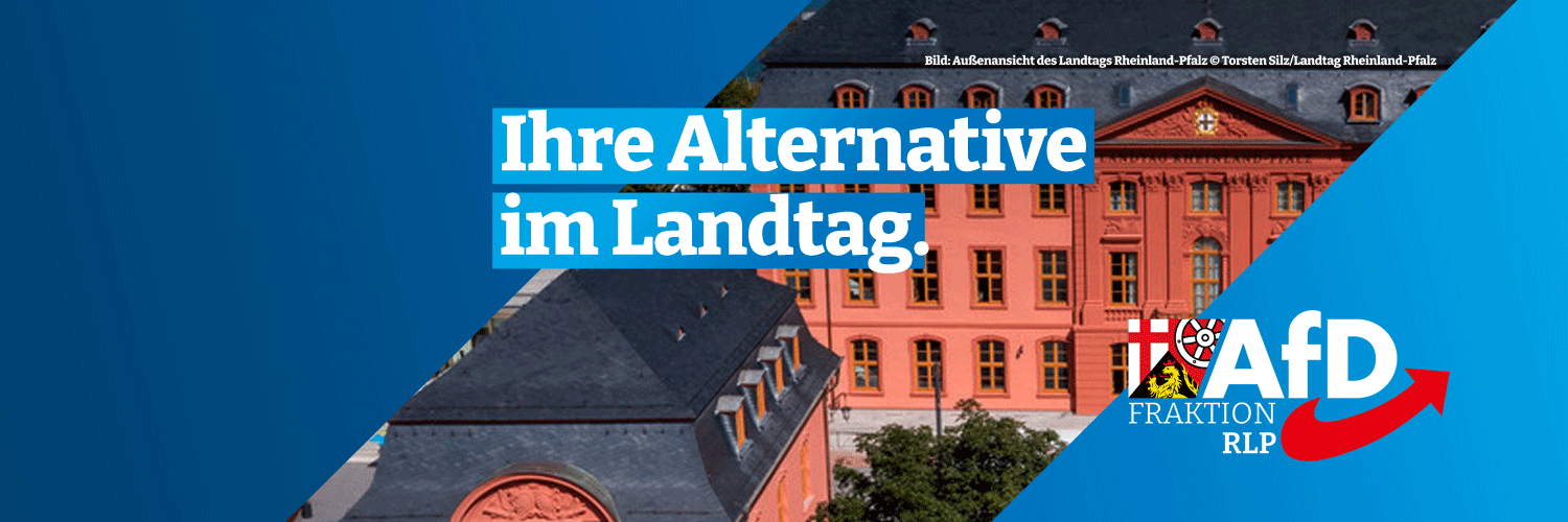 AfD-Fraktion im Landtag RLP's banner