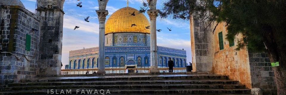 حنان العبد الله 🌿 🔻 🌿's banner