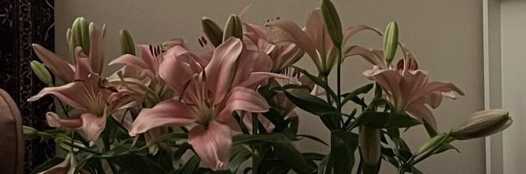 ندي💭's banner