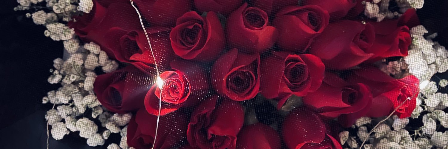 Merica Monamodi's banner