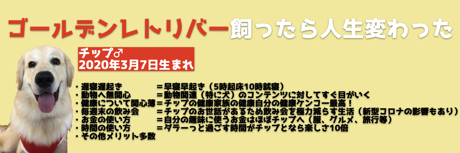 ゴールデン＠チップ's banner